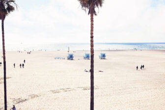 The beach and the sea